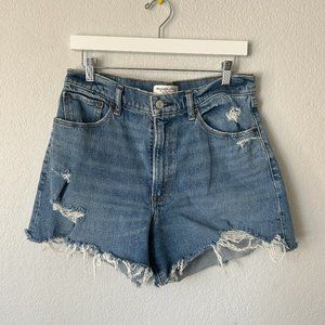 Abercrombie & Fitch Curve Love Mom Shorts